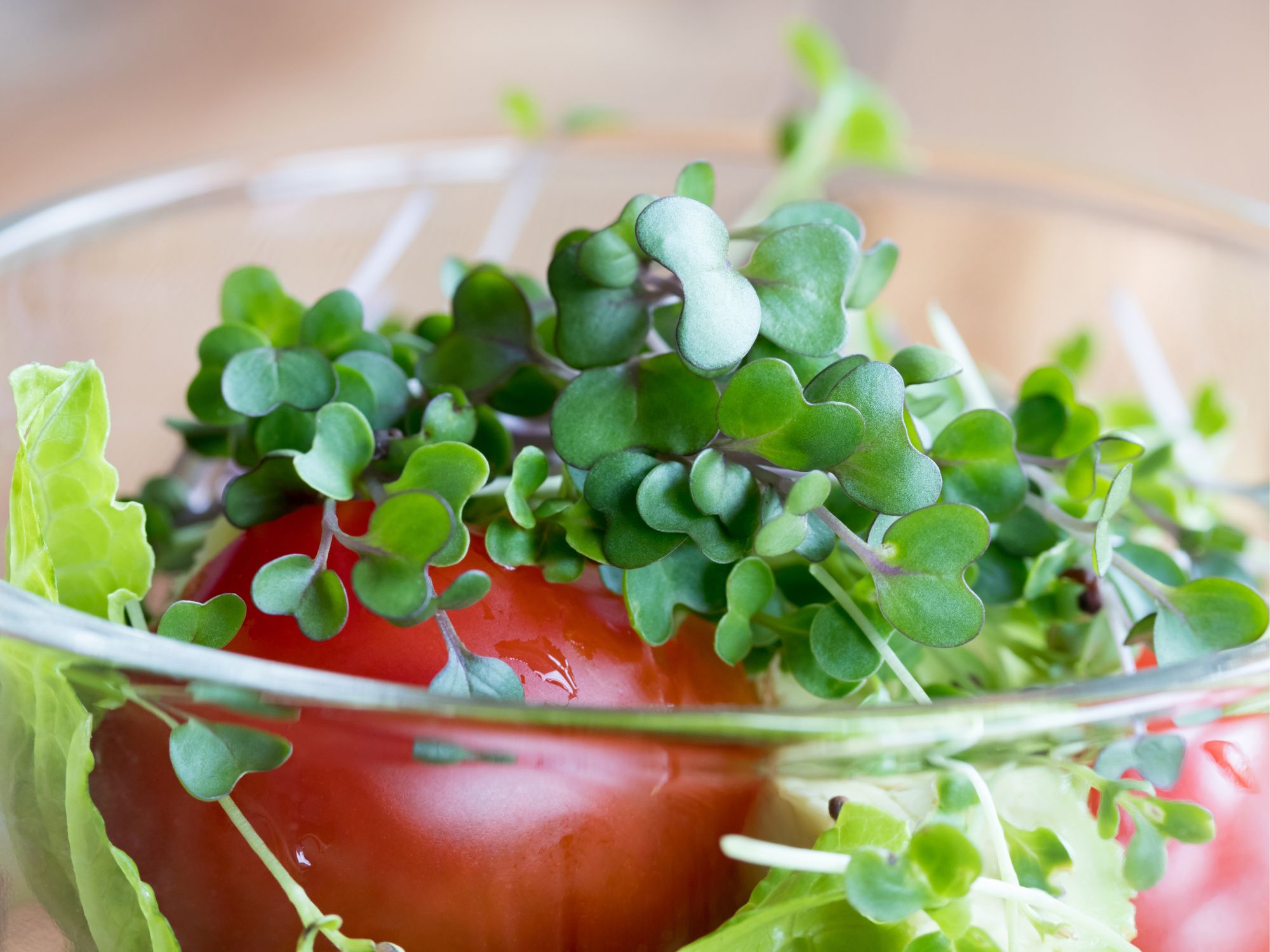Microgreens and tomato in a bowl